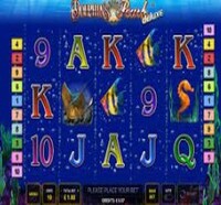 Dolfijnen Parel Online Casino